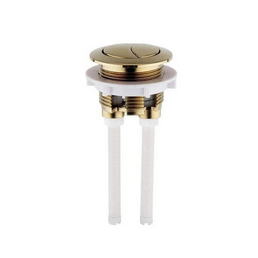 Brushed Brass Button for Close Coupled Cisterns