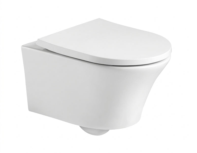 Kameo Wall Hung Toilet & Concealed Frame